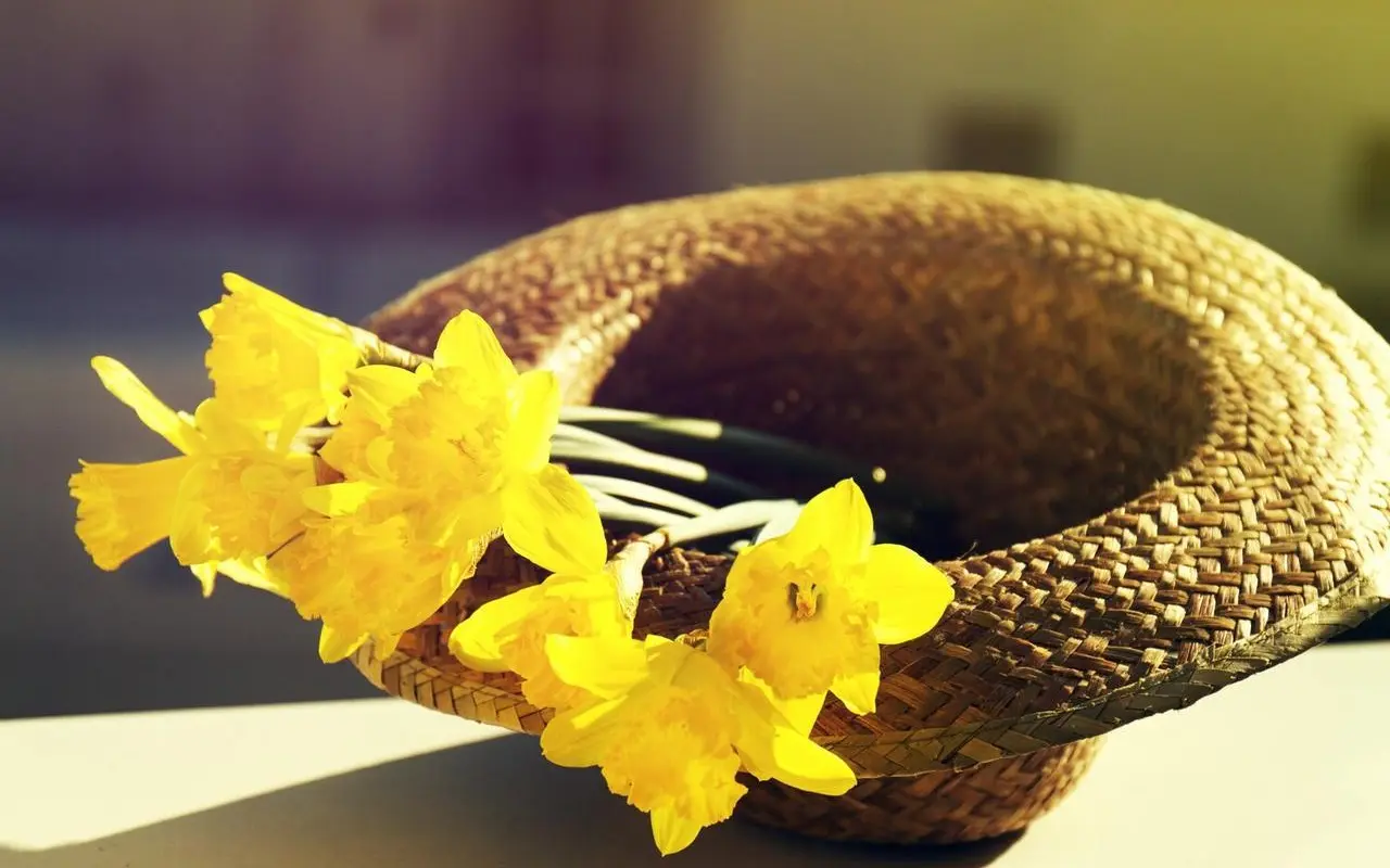 Domowa aromaterapia na stres: 5 nietypowych połączeń olejków na wieczór